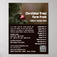 Christmas Tree Bauble, Christmas Tree Sales