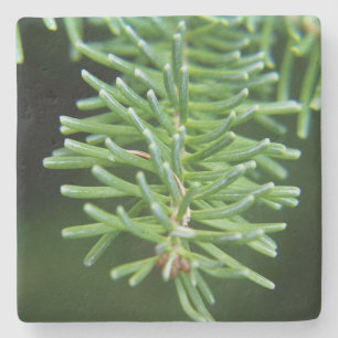 Christmas Tree Branch Stone Coaster