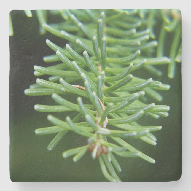 Christmas Tree Branch Stone Coaster (Front)