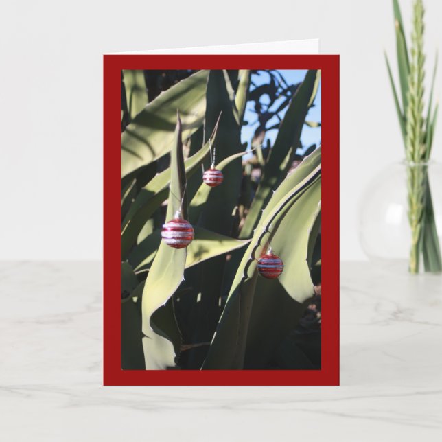 Christmas tree cactus holiday card (Front)