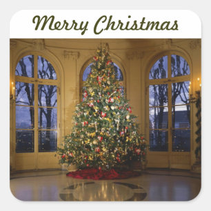 Christmas tree card square sticker