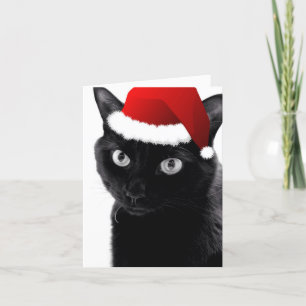 Christmas Tree Cat Card