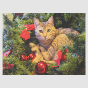 christmas tree cat tissue paper