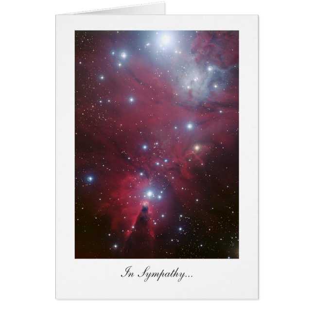 Christmas Tree Cluster - In Sympathy (Front)