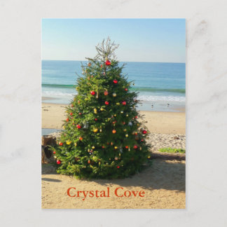 Christmas Tree Holiday Postcard