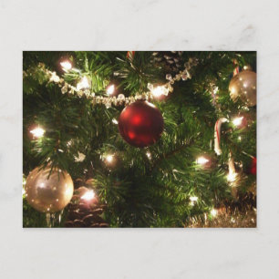 Christmas Tree I Holiday Pretty Green and Red Postcard