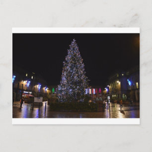 Christmas Tree in Dundee Holiday Postcard
