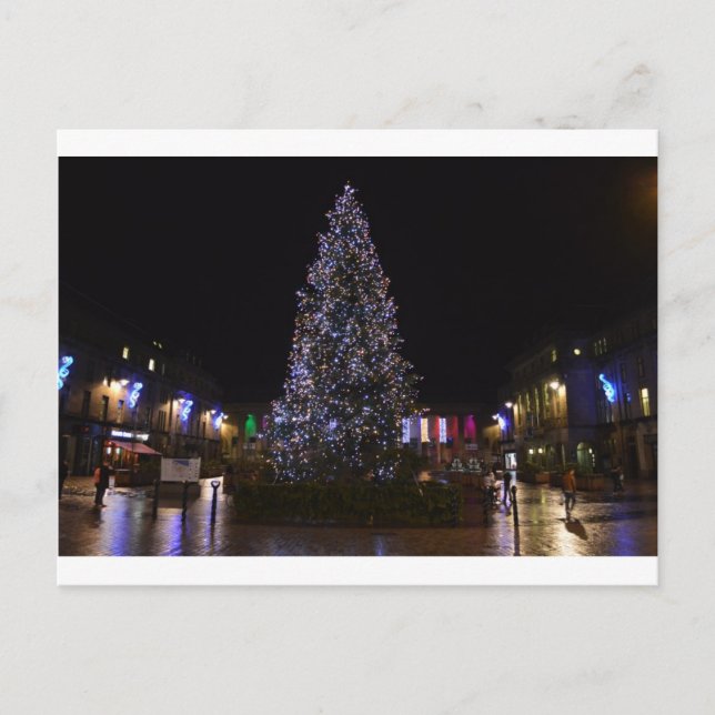 Christmas Tree in Dundee Holiday Postcard (Front)
