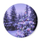 Christmas Tree in the Forest