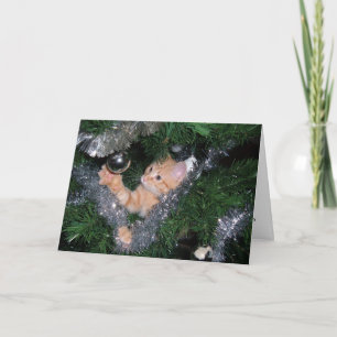 Christmas tree kitten - Customised Holiday Card