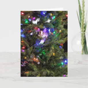 Christmas Tree Kitty Holiday Card