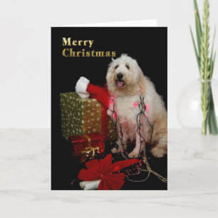 Christmas - Tree Lights on Doggie Holiday Card