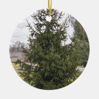 Christmas Tree Ornament