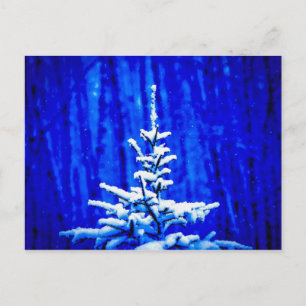 Christmas Tree, Snow, Magic Night Postcard