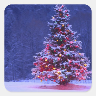christmas Tree Square Sticker