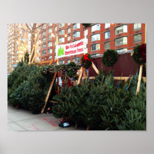 Christmas Tree Stand Upper West Side New York City Poster