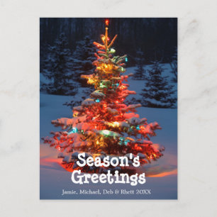 Christmas Tree with lights outdoors Holiday Postcard
