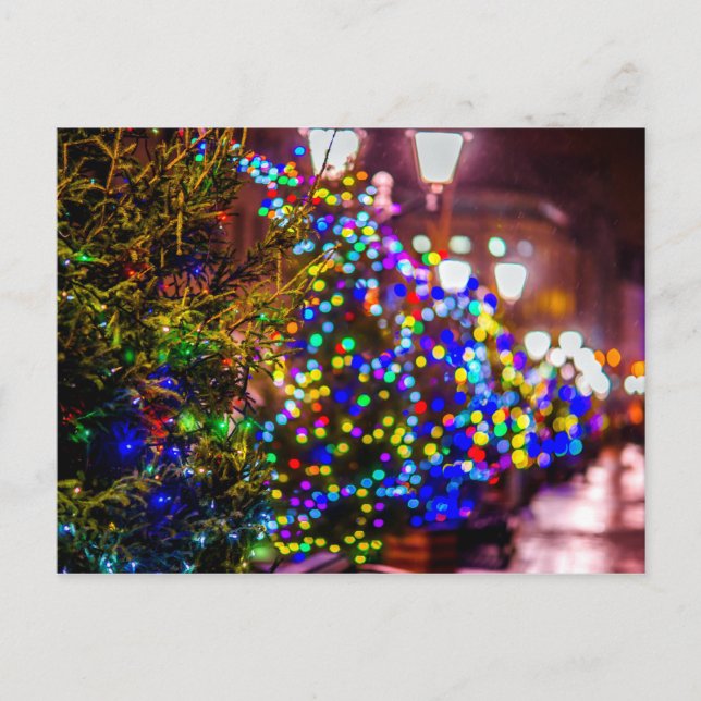 Christmas Trees In The Street Postcard (Front)
