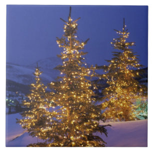Christmas trees, Park City, Wastch Mountains, 2 Tile