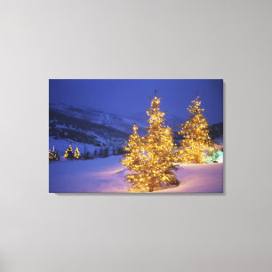 Christmas trees, Park City, Wastch Mountains, Canvas Print