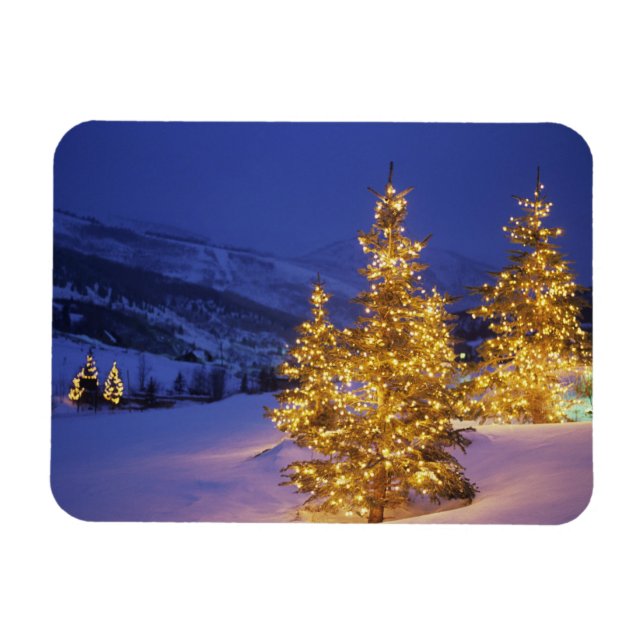 Christmas trees, Park City, Wastch Mountains, Magnet (Horizontal)