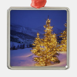 Christmas trees, Park City, Wastch Mountains, Metal Tree Decoration