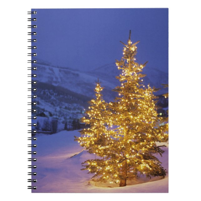 Christmas trees, Park City, Wastch Mountains, Notebook (Front)