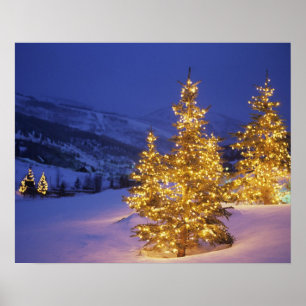 Christmas trees, Park City, Wastch Mountains, Poster