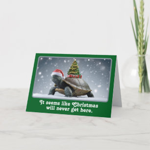Christmas Turtle Card