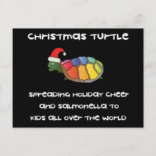 Christmas Turtle Holiday Postcard
