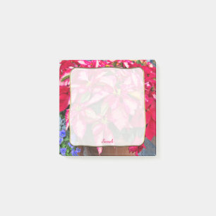 Christmas Variegated Pink & Red Poinsettia Photo Post-it Notes