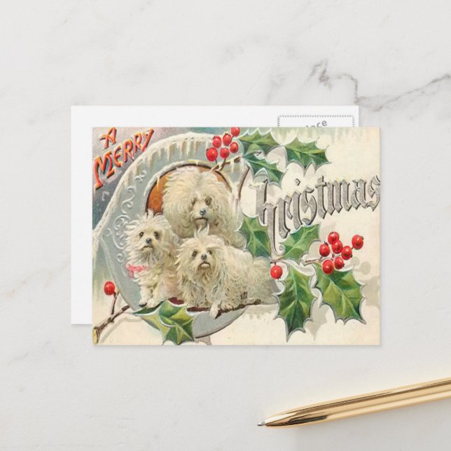 Christmas Vintage  dogs Holiday Postcard (Front/Back In Situ)