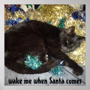 CHRISTMAS WAKE ME KITTY  POSTER