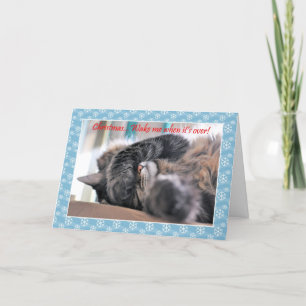 Christmas wake me when it's over! Cat Christmas c Holiday Card