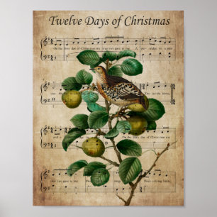 Christmas Wall Art-Partridge in a Pear Tree Poster