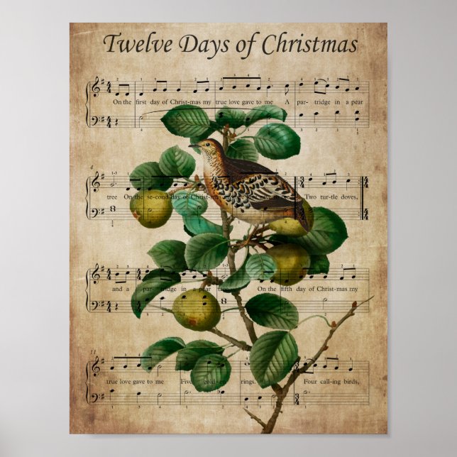 Christmas Wall Art-Partridge in a Pear Tree Poster (Front)