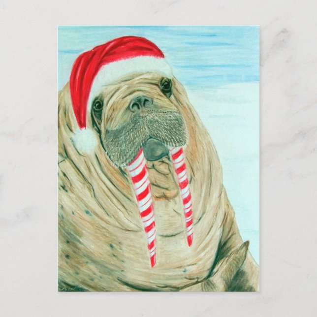 Christmas Walrus Holiday Postcard (Front)