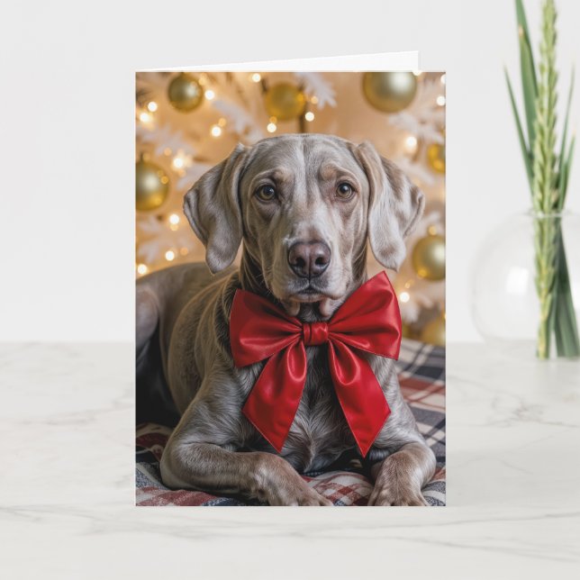 Christmas Weimaraner Dog With Red Bow Card (Front)