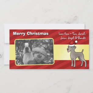 Christmas Weimaraner Holiday Card