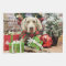 Christmas - Weimaraner - Lucy