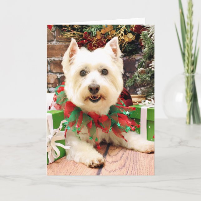 Christmas - West Highland Terrier - Abby Holiday Card (Front)
