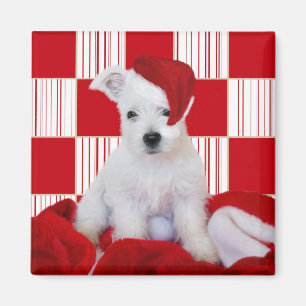 Christmas Westie Pup Squares - Square Magnet