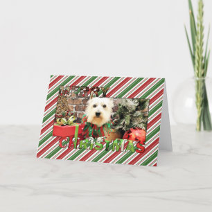 Christmas - Westie - Sammy Holiday Card