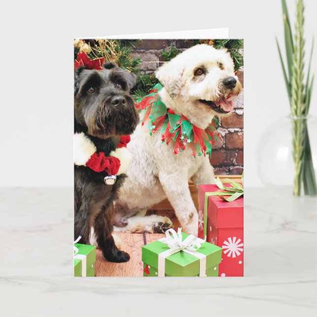 Christmas - Wheaten Skipper - Schnauzer X  Bentley Holiday Card (Front)