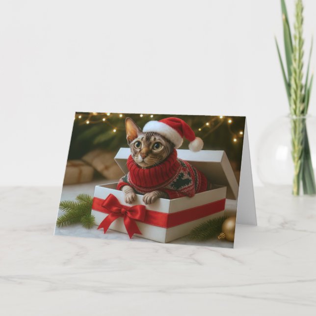 Christmas Whiskers & Wrinkles Card (Front)