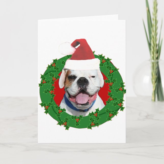 Christmas White Boxer Holiday Card (Front)