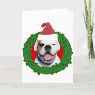 Christmas White Boxer Holiday Card