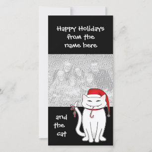 Christmas white bratty kitty holiday family