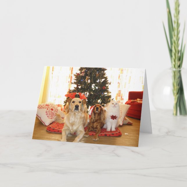 Christmas White Cat with Dogs | Christmas Tree Holiday Card (Front)