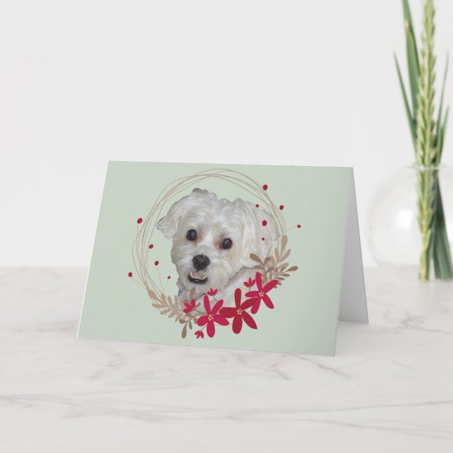 Christmas, White Dog from Pet Holiday Card (Front)